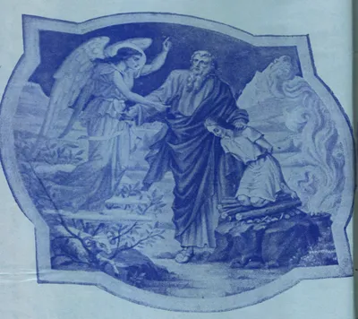 Immaculate Conception