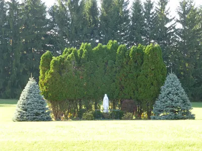 Our Lady of Fatima shrine.
