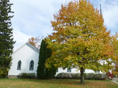 Left side.