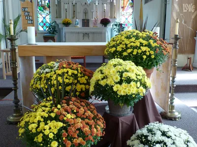 Altar.