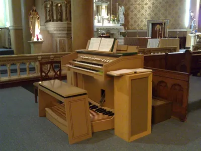 Organ.