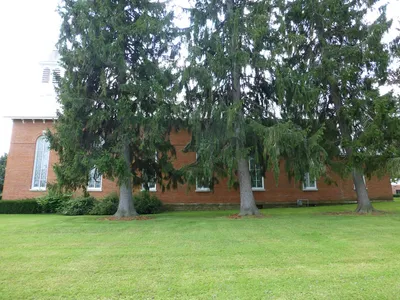 Right side.