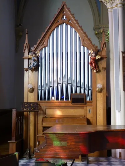 Organ.