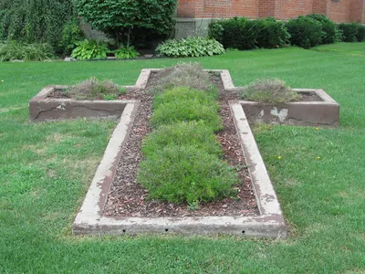 Cross garden.