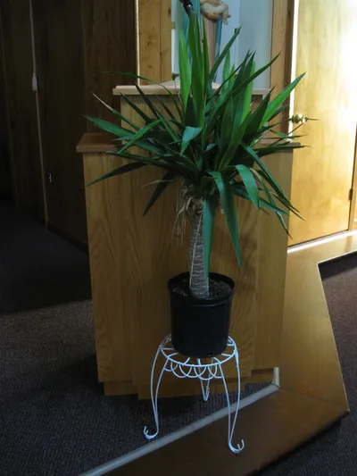 Pulpit.
