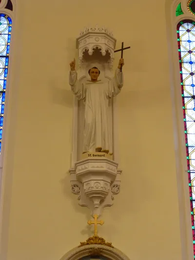 St. Bernard.